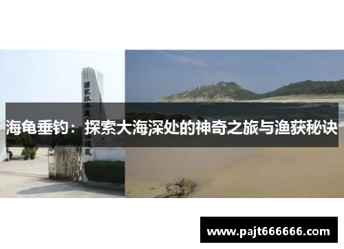 海龟垂钓：探索大海深处的神奇之旅与渔获秘诀