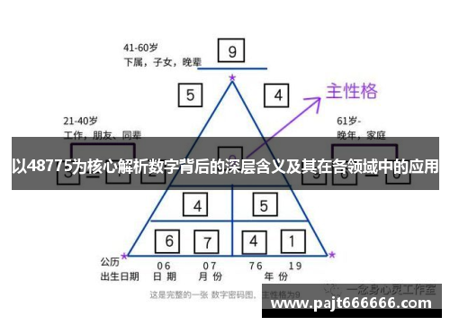 以48775为核心解析数字背后的深层含义及其在各领域中的应用