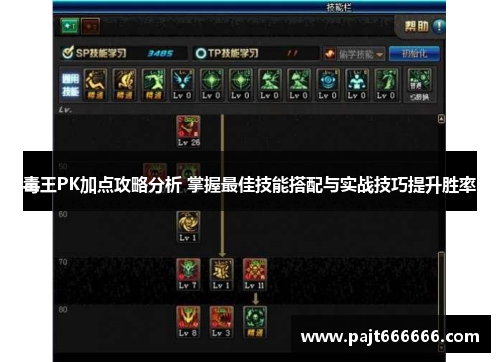 毒王PK加点攻略分析 掌握最佳技能搭配与实战技巧提升胜率