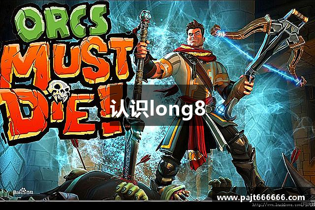 认识long8